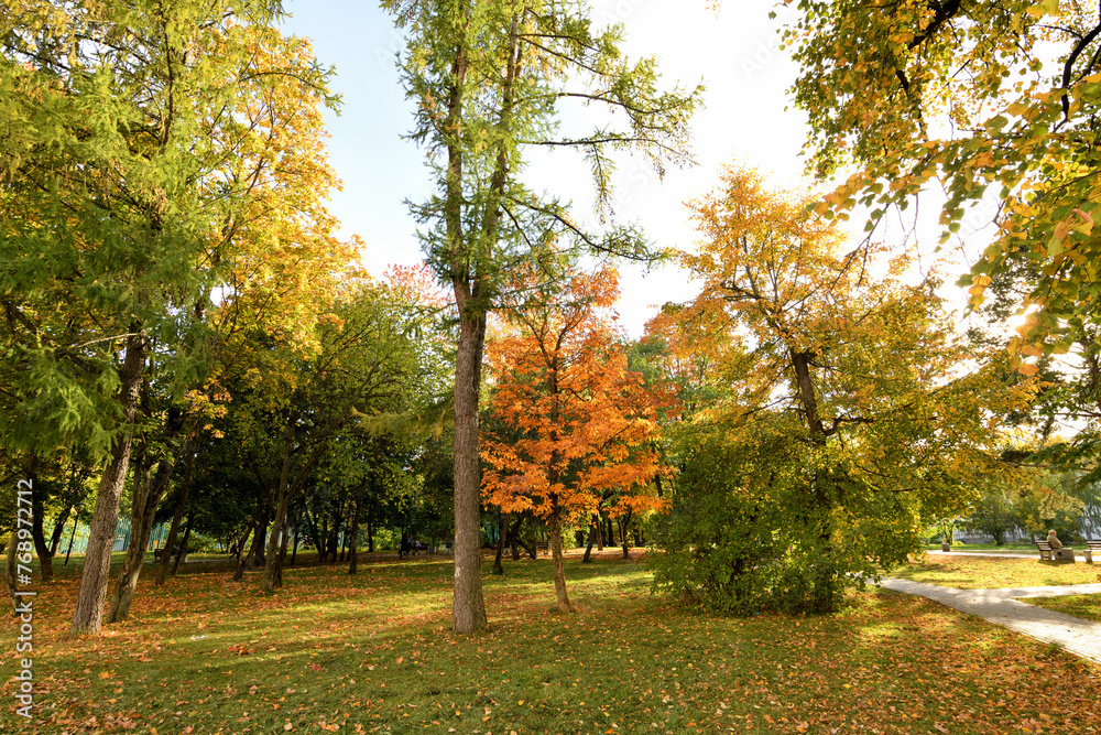 Naklejka premium Autumn city park with paths in Moscow, Russia