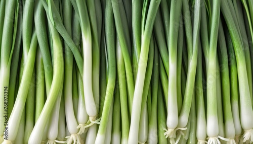 leaf spring onion isolated on white background ,Green leaves pattern