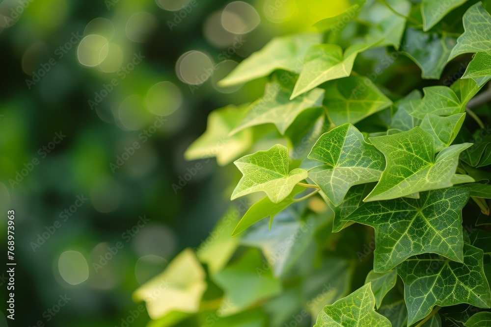 green leaves background green leaves background