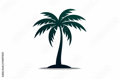 palm tree silhouette