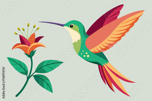 Hummingbird flying taken the nectar from the flower