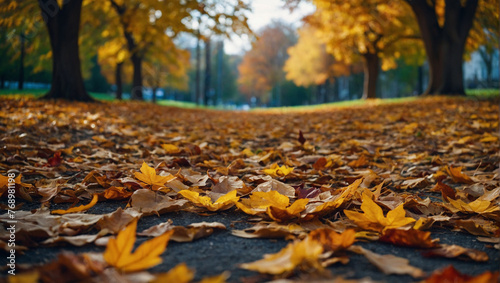 Autumn Landscape 