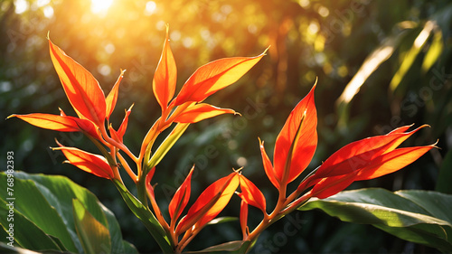 Heliconia plant buds are blooming in the sun. Close-up of beautiful lobster claw flowers in the middle of the garden with sunset. AI Generated photo