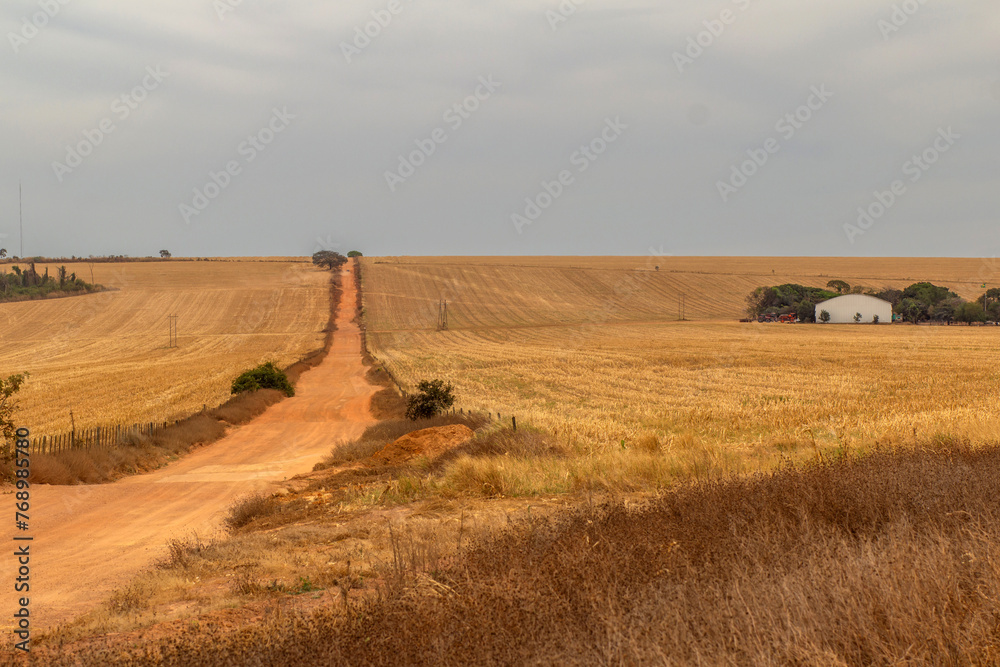 Fototapeta premium Uma estrada de terra em uma paisagem campestre em tempo de seca no cerrado goiano.