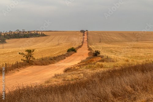 Papier peint Uma estrada de terra em uma paisagem campestre em tempo de seca no cerrado goiano