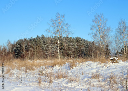 Winter landscape with snow-covered trees in the forest and sun rays