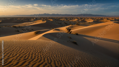 Glamis Sand Dunes California 