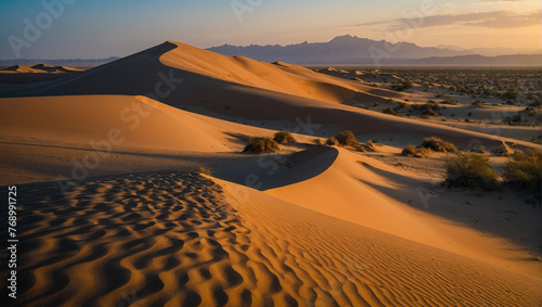 Glamis Sand Dunes California  photo