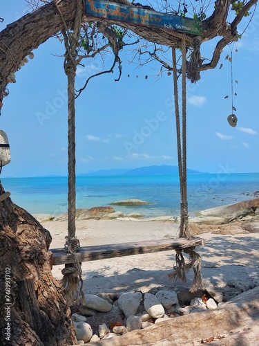 The swing
