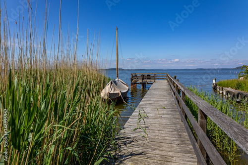 Holzsteg im Schilf mit einem Segelboot