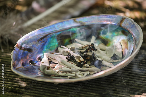 Smudging loose white sage leaves (Salvia apiana) in an abalone shell outdoors in summer