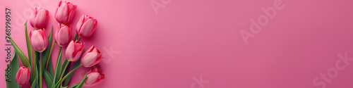 Pink tulips on pink background, flat lay banner with copy space © angelo sarnacchiaro
