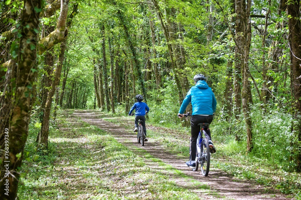 Obraz premium Vélos