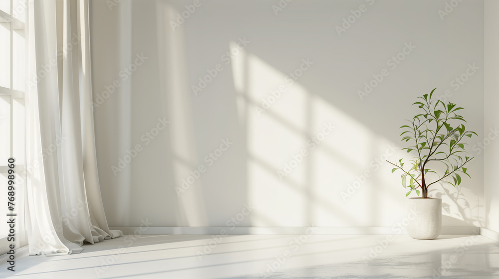 clean white room background with curtains and plant clean white room background with curtains and plant