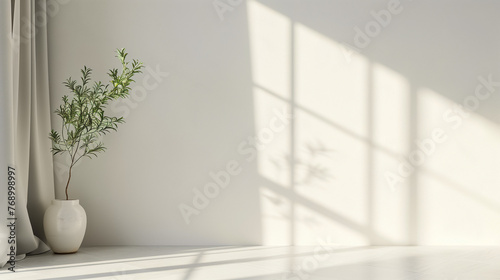 clean white room background with curtains and plant