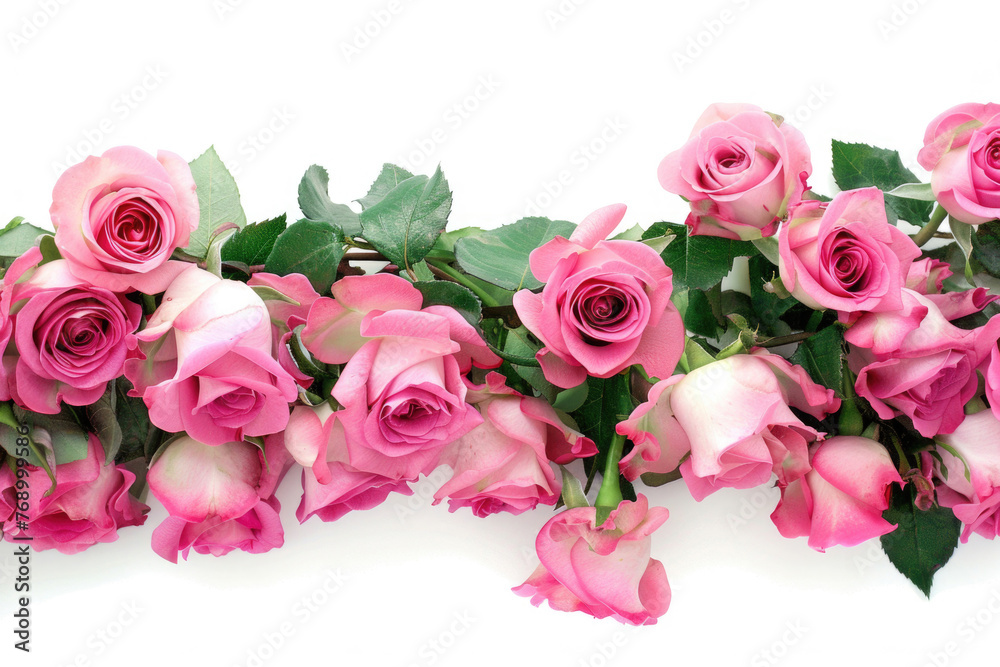 Assorted pink rose flowers border on a white background