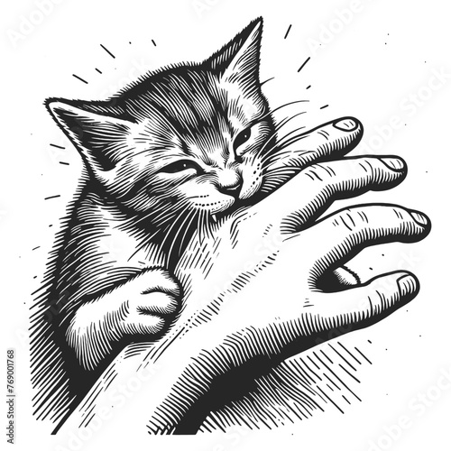 Kitten bites hand sketch engraving generative ai fictional character vector illustration. Scratch board imitation. Black and white image.