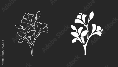 Art & Illustration of flowers