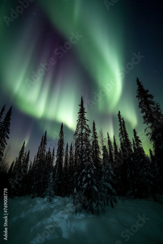 Aurora over the forest