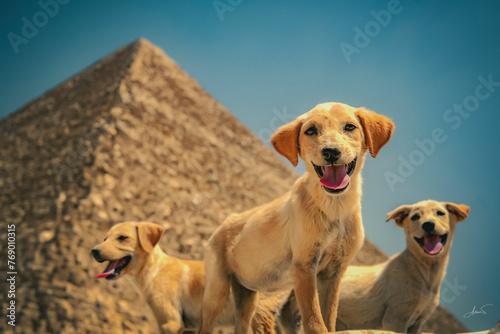 Pyramide photo