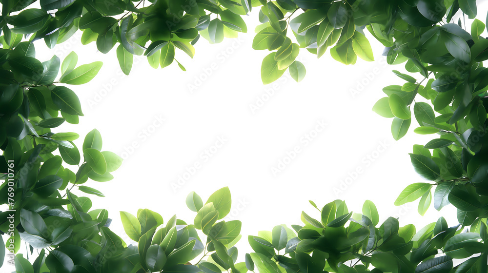 Bright Sunlight Shining Through Lush Green Tree Canopy