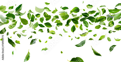 Scattered Green Leaves on a Light Background for Fresh Concepts