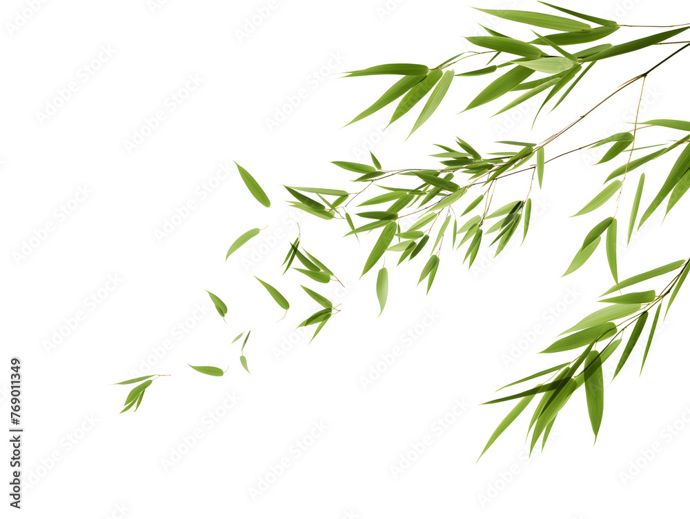 Naklejka premium Serene Green Bamboo Leaves on a Pristine White Background