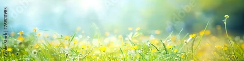 blooming glade chamomile trees and blue sky on a sunny day beautiful blurred spring background nature