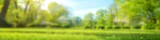 neatly trimmed lawn surrounded by trees against a blue sky with clouds on a bright sunny day beautiful blurred background image of spring nature





