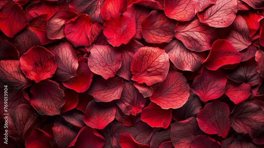 Red Rose Petals Texture Background Red Rose Petals Texture Background
