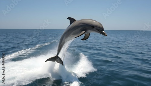 A Dolphin Riding The Wake Of A Passing Boat