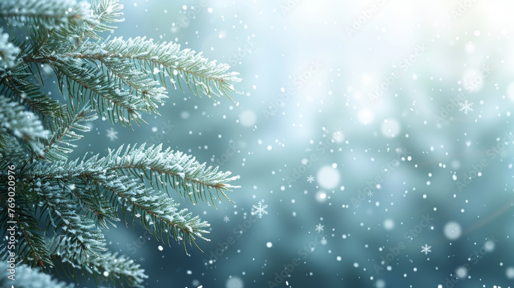 Festive christmas background with snowflakes and spruce branch frame, perfect for adding text