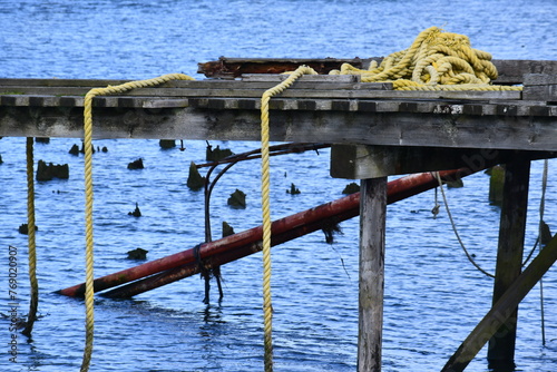 Thick rope laying on old dock covered in algae.