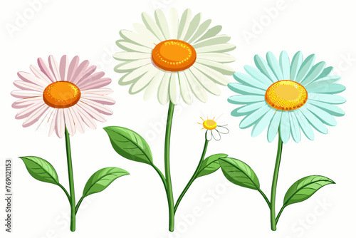 Daisy flower collection isolated on white background