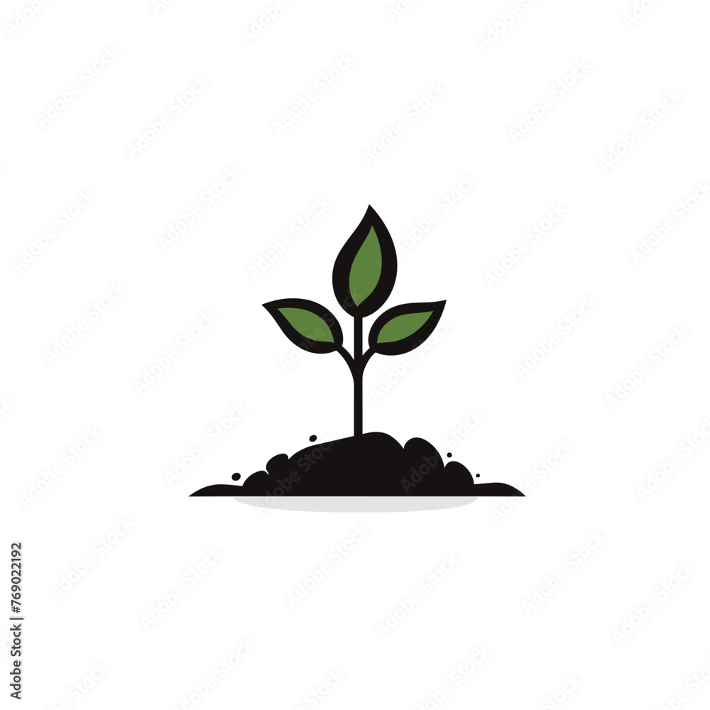 plant growing from the ground plant growing from the ground
