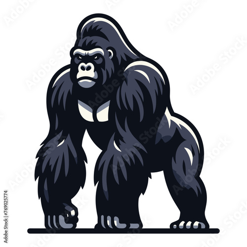 Wild gorilla full body design illustration  standing strong big ape concept  primate animal zoology element illustration  vector template isolated on white background