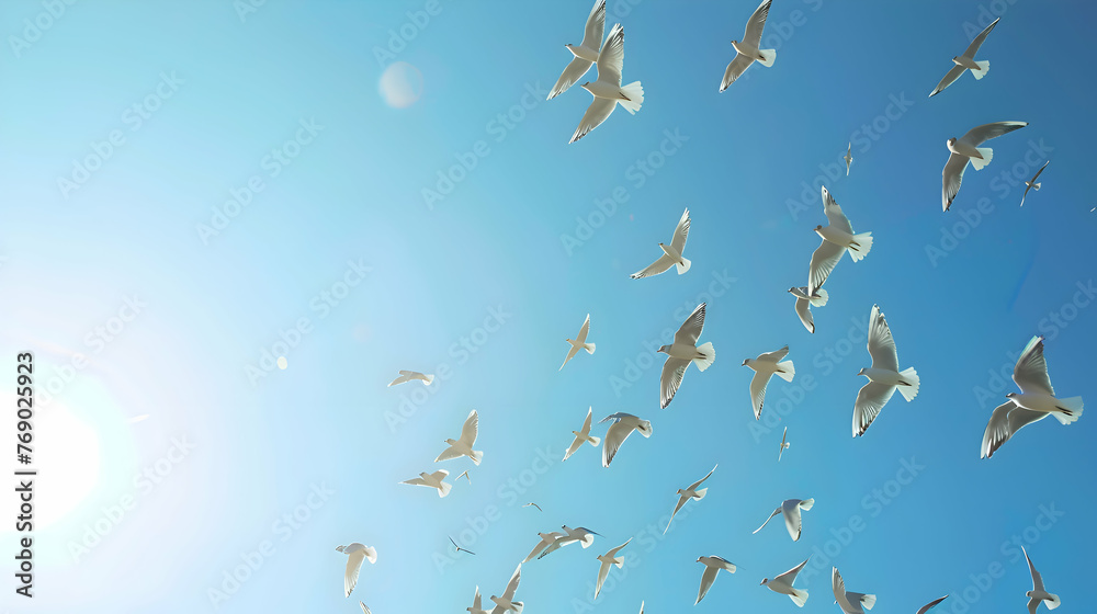Fototapeta premium Diurnal birds soaring high against a clear blue sky