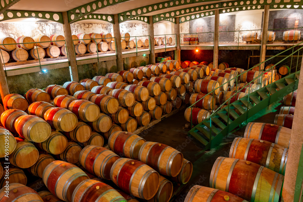 Naklejka premium French oak wooden barrels for aging red wine in underground cellar, Saint-Emilion wine making region picking, cru class Merlot or Cabernet Sauvignon red wine grapes, France, Bordeaux