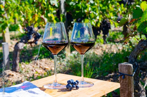 Photos Tasting red Bordeaux wine, Merlot or Cabernet Sauvignon red wine grapes on cru c
