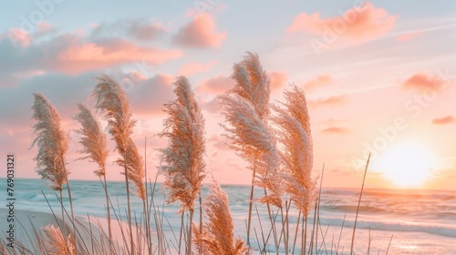 Serene Beach Sunset with Tall Grass