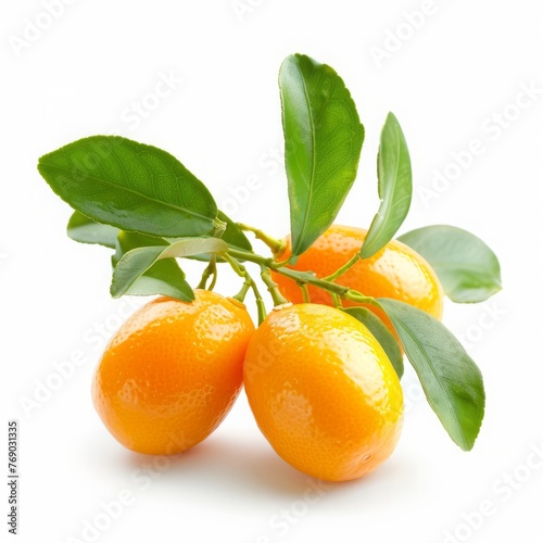 kumquat on a white background isolated.