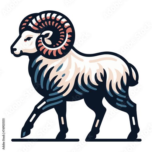 Horned ram bighorn sheep full body vector illustration, animal livestock, farm pet, agriculture concept, butchery meat shop element design isolated on white background