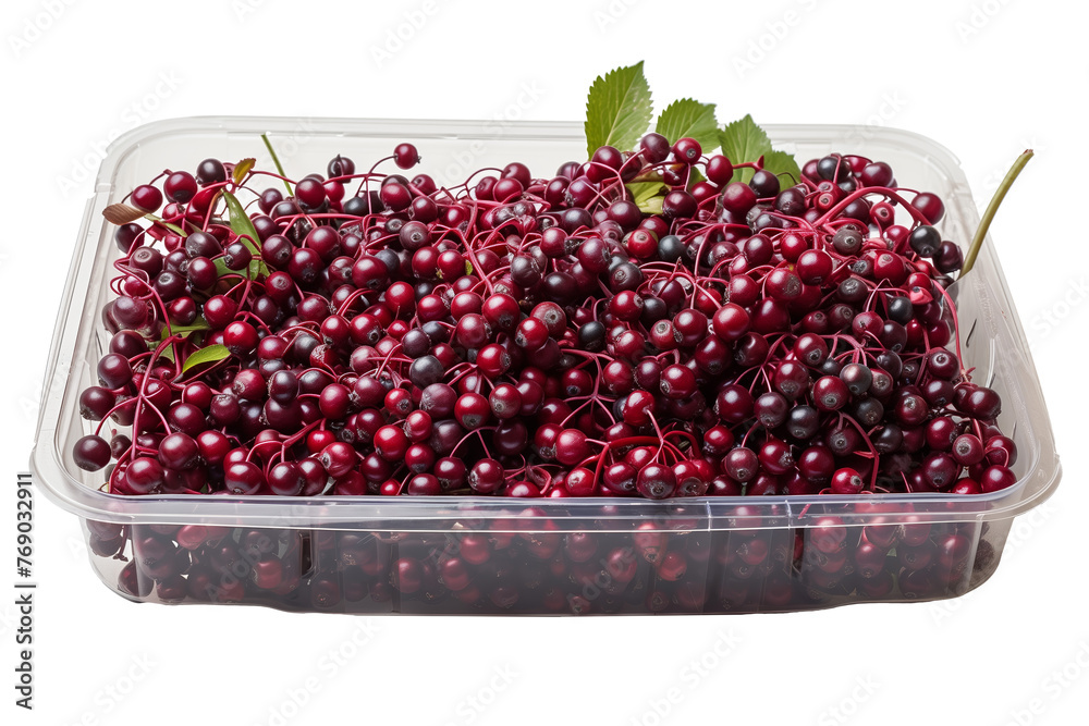Elderberry fruit in the open plastic container isolated on transparent png background. Isovetric view. Png and jpeg files.
Elderberry fruit in the open plastic container isolated on transparent png background. Isovetric view. Png and jpeg files.