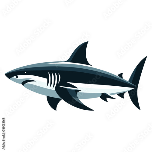 Wild great white shark design illustration, marine predator animal element illustration, swimming angry toothy shark vector template isolated on white background
