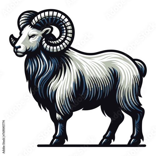 Bighorn horned ram sheep full body design illustration  animal livestock  farm pet  agriculture concept  butchery meat shop element  vector isolated on white background