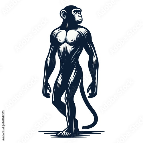 Monkey ape chimpanzee full body vector illustration, wild animal primate, standing monkey illustration concept, design template isolated on white background