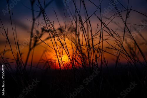 A setting sun observed through a blade of grass in silhouette 