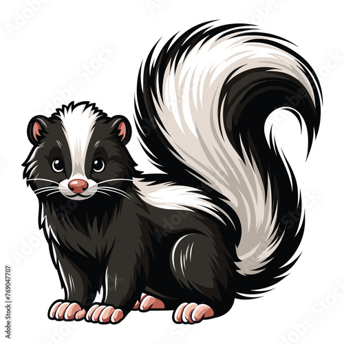 Skunk full body vector illustration, fauna animal concept, wild mammal skunk with a large fluffy tail and black white stripe along the body. Design template isolated on white background