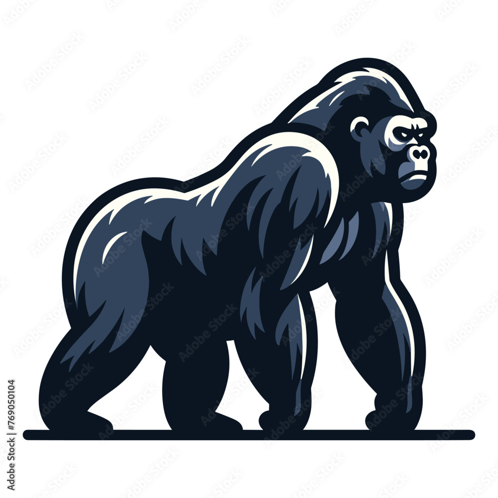Fototapeta premium Wild gorilla full body design illustration, standing strong big ape concept, primate animal zoology element illustration, vector template isolated on white background