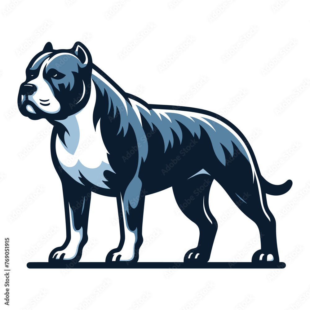 Pitbull bulldog full body vector illustration, Full-length portrait of a standing animal pet pitbull terrier dog. Design template isolated on white background